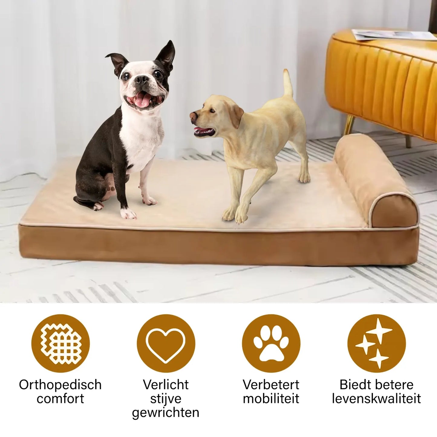 Lit orthopédique de luxe pour chien XL